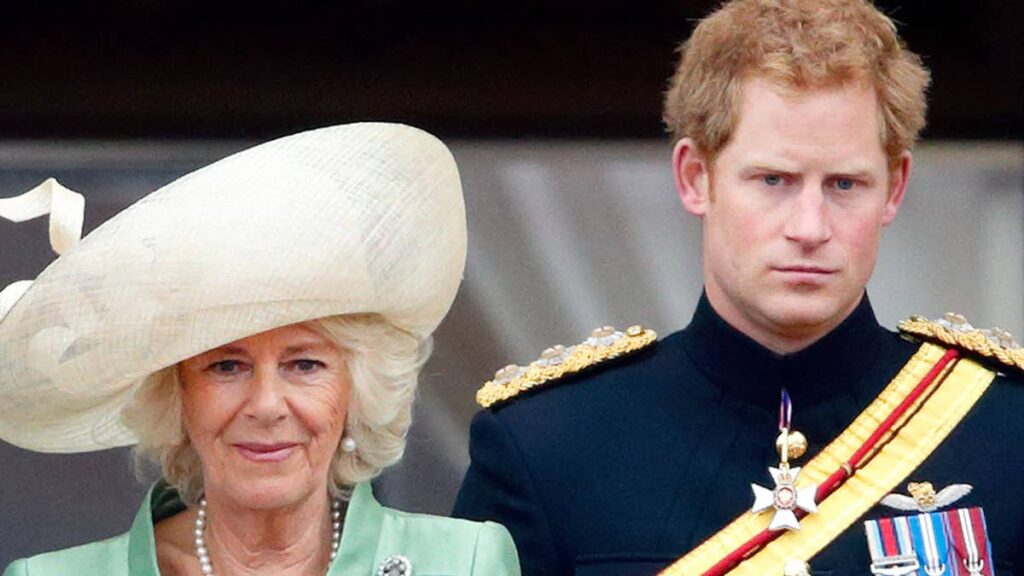 Queen Camilla owed ‘outstanding debt’ by stepson Prince Harry: ‘Chances are slim’