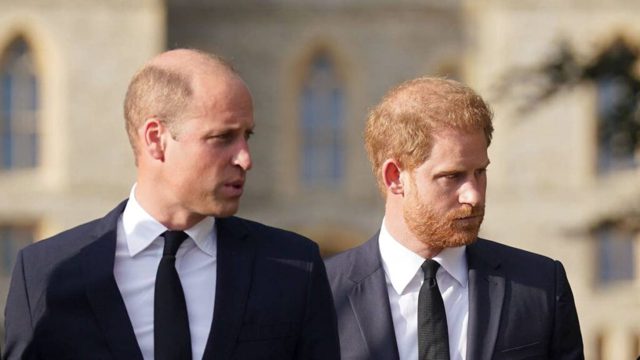 Prince Harry and Prince William fall-out: Charles Spencer breaks silence