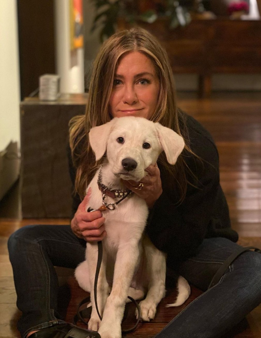 Photo posted by Jennifer Aniston on Instagram November 2020, pictured with her dog Lord Chesterfield, who she adopted in October of 2020.