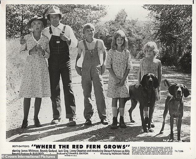 His uncle, Lyman Dayton, was the producer for an independent film project to translate the novel 'Where The Red Fern Grows' to the big screen, and asked Peterson to read the script