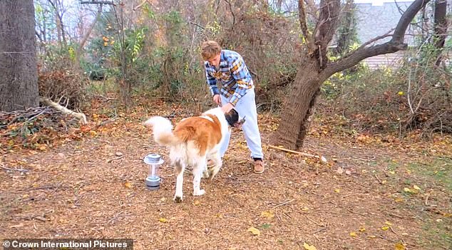 Peterson was also cast in Seven Alone along with his young brother and three younger sisters as they portrayed the Sager family who lost their parents on the Oregon Trail