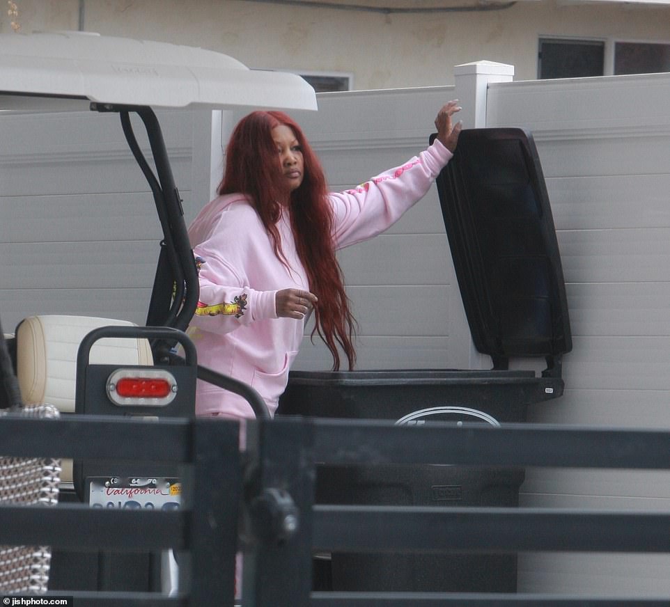 Garcelle wore a casual all-pink tracksuit fit for the casual occasion with the girls