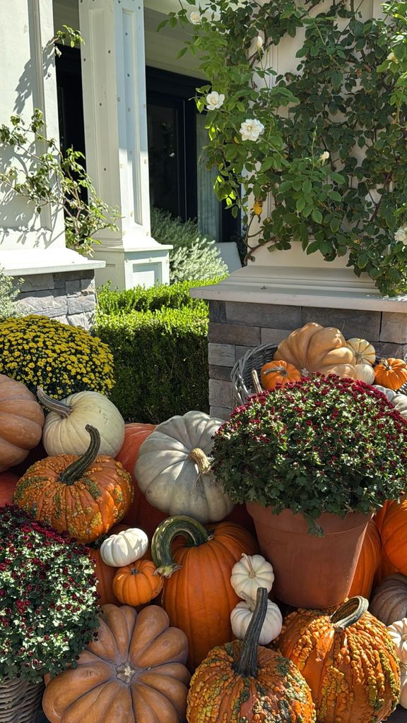 Kylie's driveway was laden with hundreds of pumpkin for Halloween