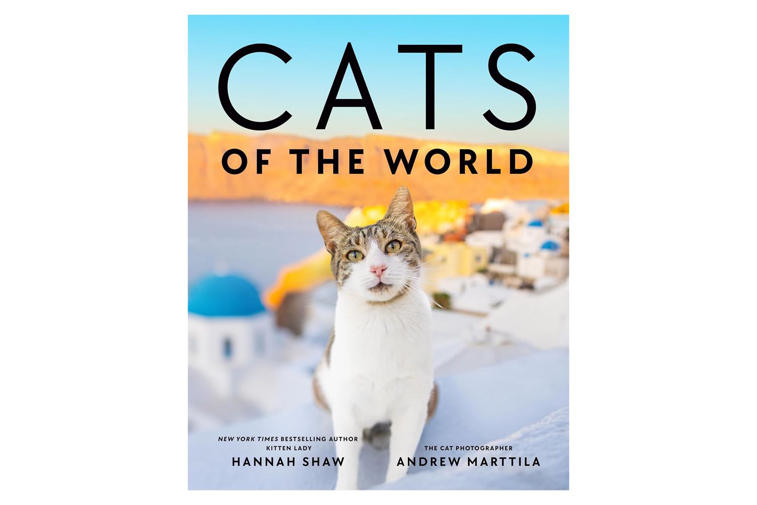 Cats of the World