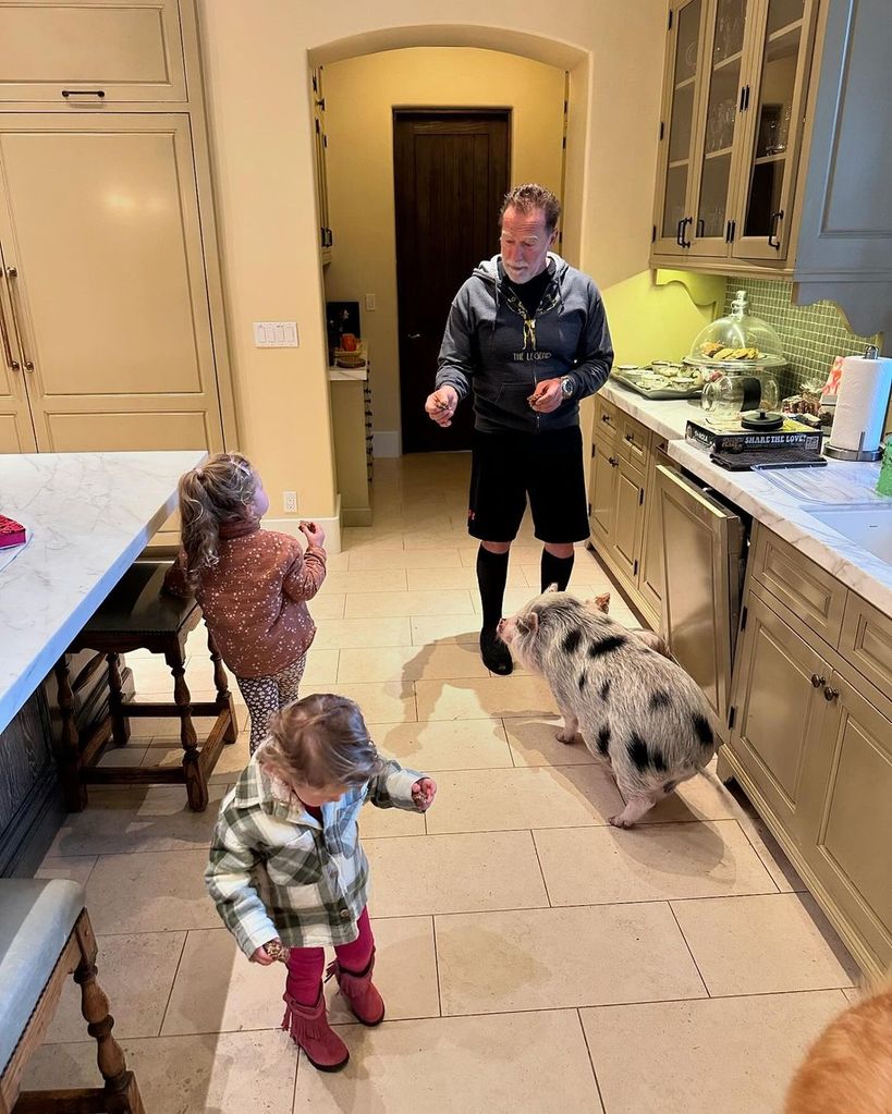 Arnold Schwarzenegger in the kitchen of his home, playing with his granddaughters Eloise and Lyla and a pig, shared on Instagram