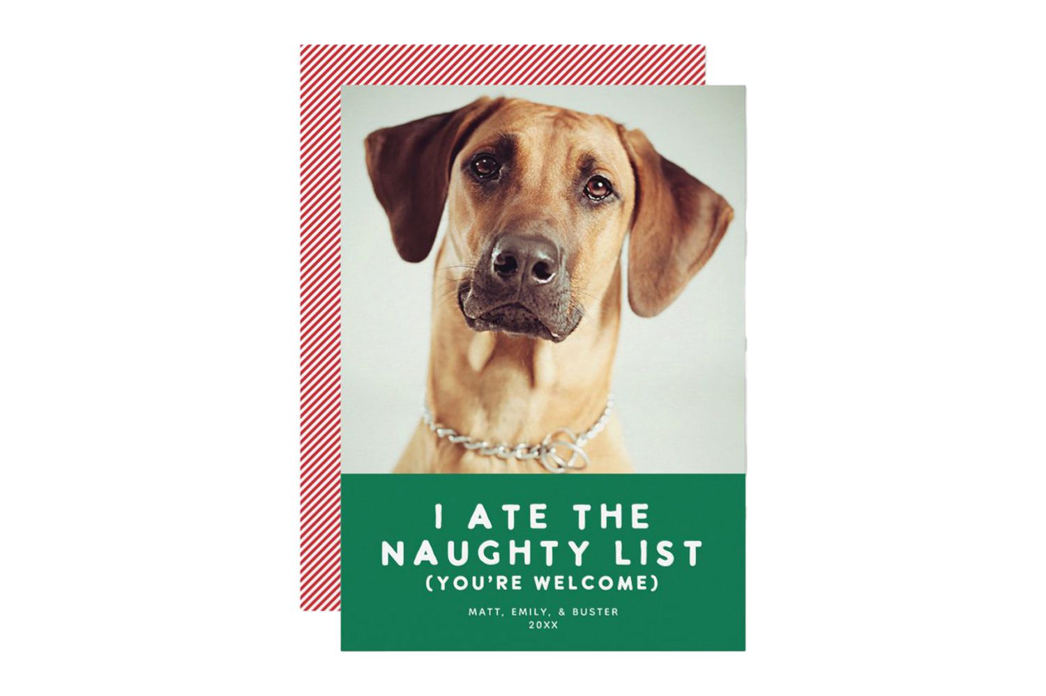 Zazzle Cute Funny Naughty List Pet Photo Christmas Green Holiday Card