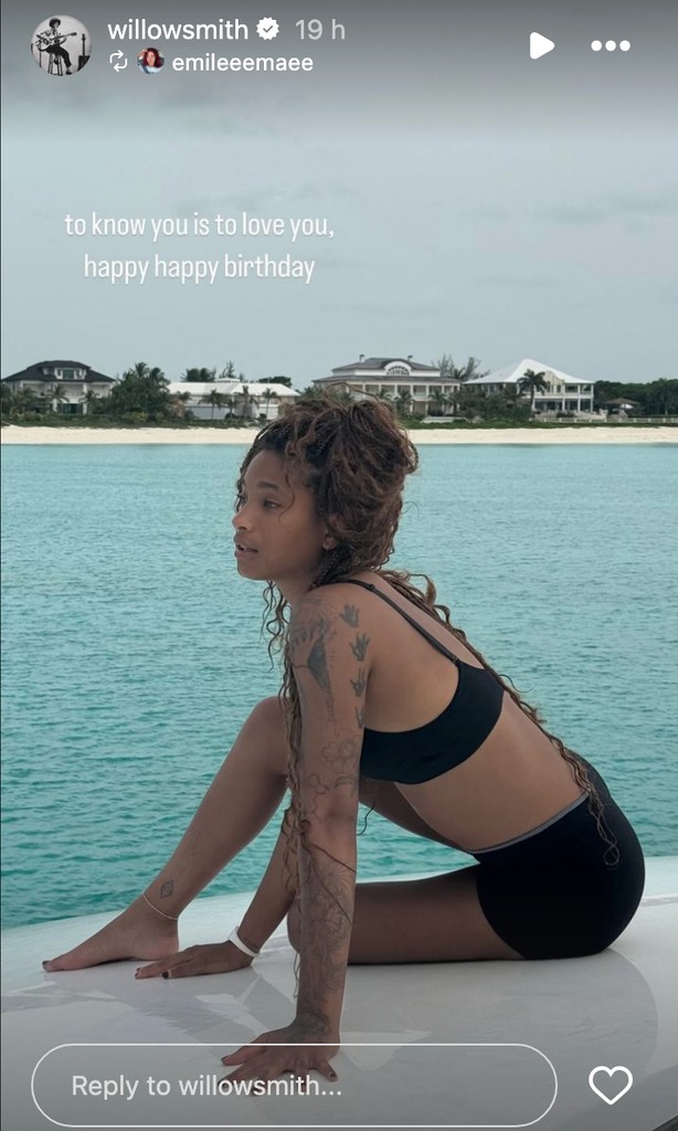 Willow Smith showcased her impressive tattoo collection in a swimsuit photo to mark her birthday 