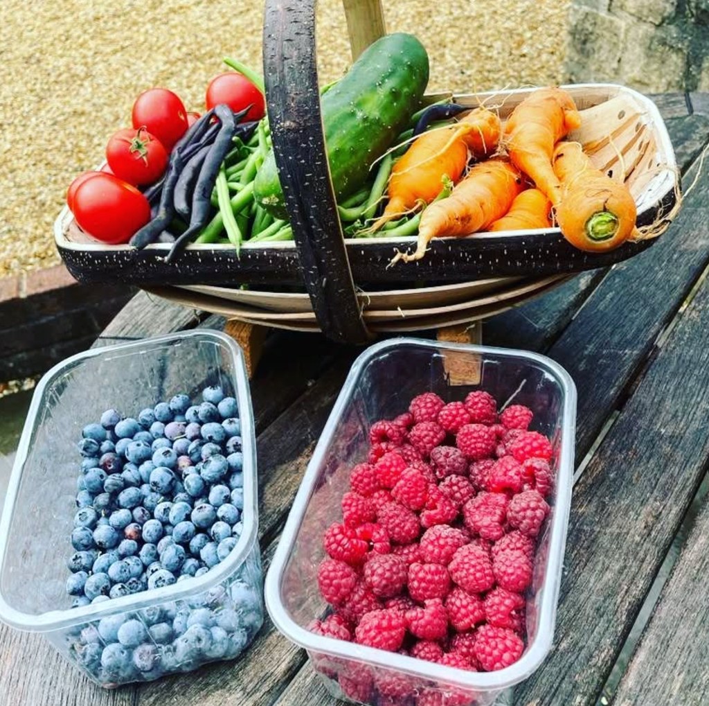 vegetables in a basket and two punnets of berries 