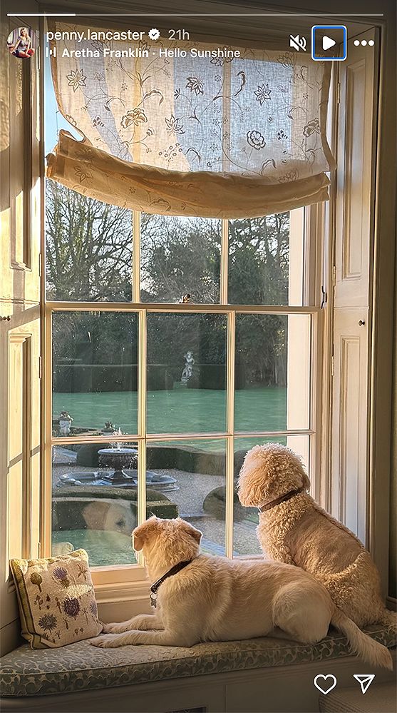 Penny Lancaster's dogs cuddled up by a stunning sash window at their Essex home