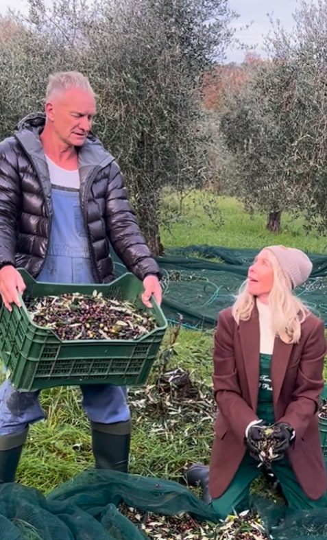 Sting holds a box of olives and his wife Trudie Styler kneels beside him and throws more in 