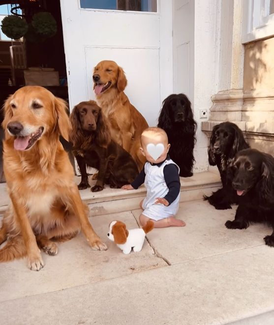 James Middleton's son Inigo surrounded by the family's dogs