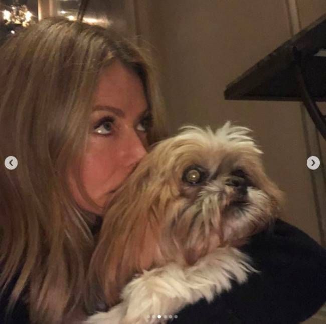 kelly ripa family pet dog