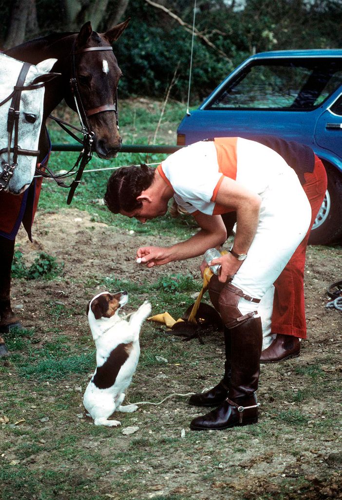 King Charles giving his dog a treat