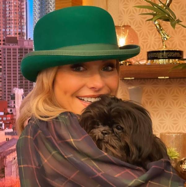 kelly ripa pet dog