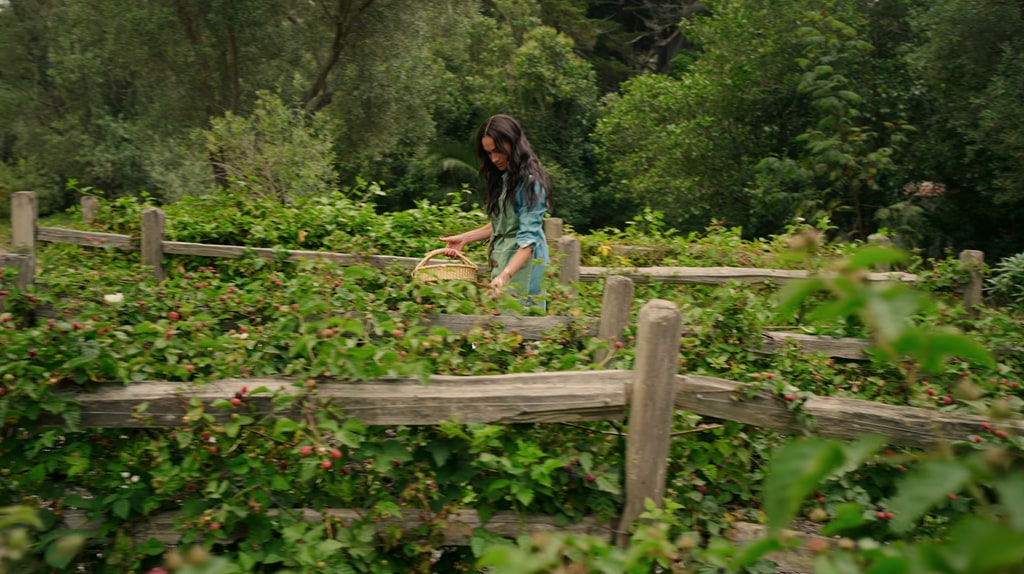 A woman picking berries with a basket