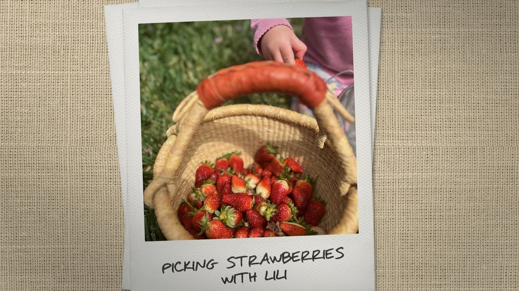 Lilibet picking strawberries