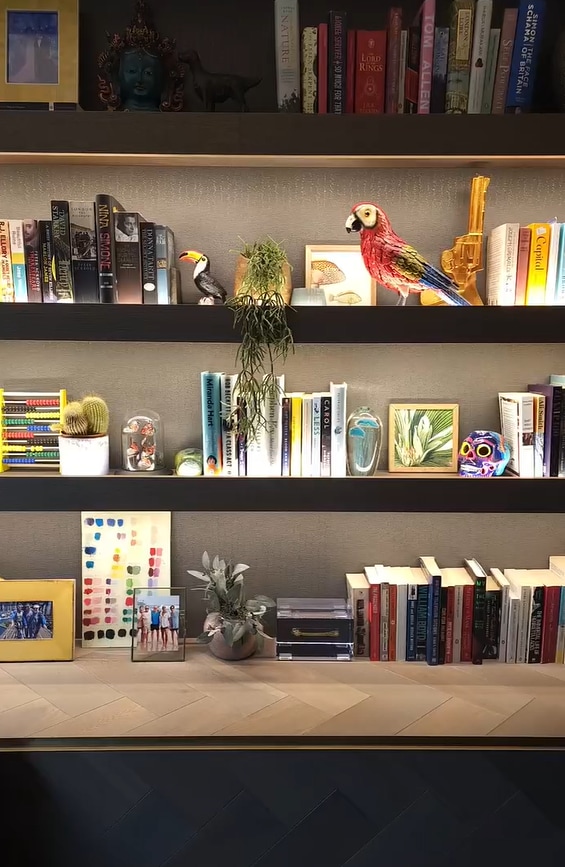 Photo of Alan Carr's shelves at home decorated with books, plans and animal statues