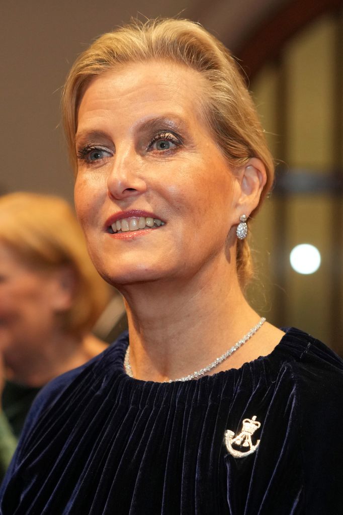 LONDON, ENGLAND - NOVEMBER 27: Sophie, Duchess of Edinburgh attends the Biennial RIFLES Awards Dinner on November 27, 2025 in London, England. (Photo by Kin Cheung - WPA Pool/Getty Images)