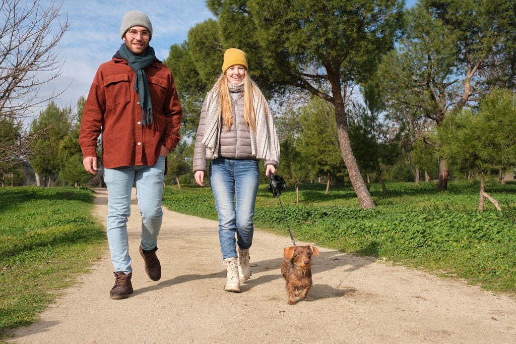 Establishing healthy habits, such as getting out for walks together, can help your relationship