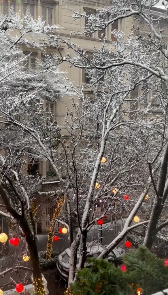 Snowfall from their $27million townhouse