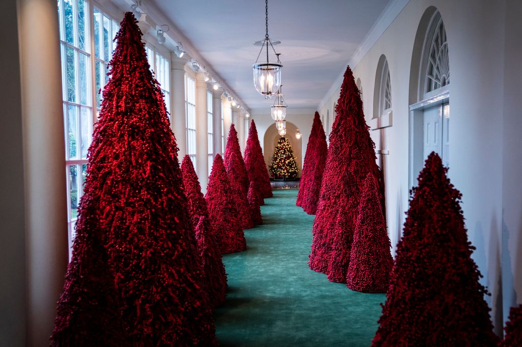 Trees line the East Colonnade during the White House Christmas preview in the East Wing of the White House on Monday, Nov. 26, 2018 in Washington, DC. 