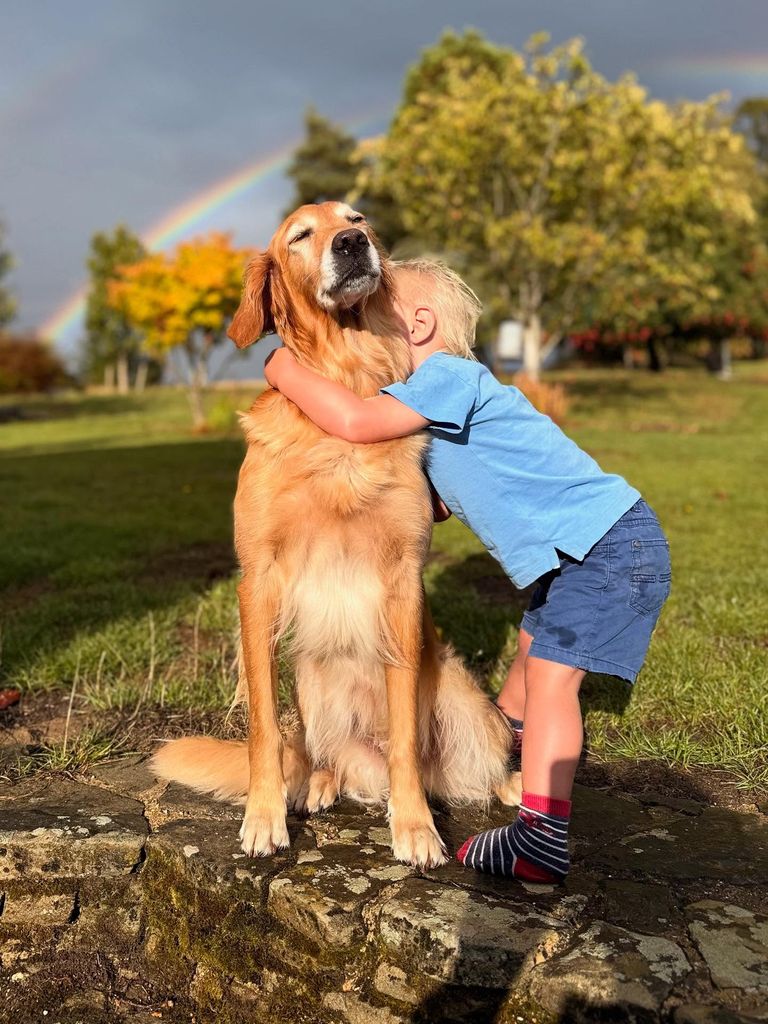 little boy hugging golden retriever outside