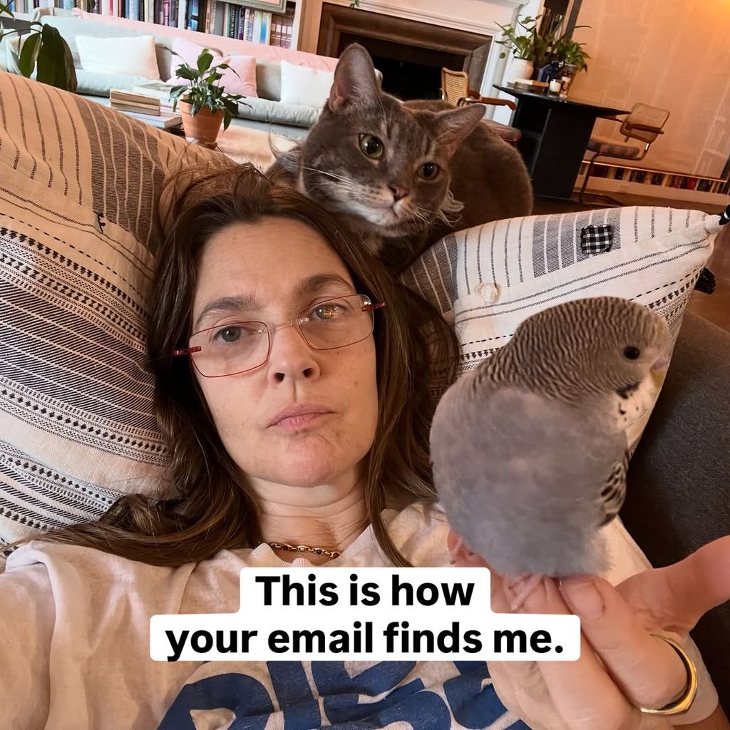 Drew Barrymore's home photo featuring her cat looking at her budgie got fans talking