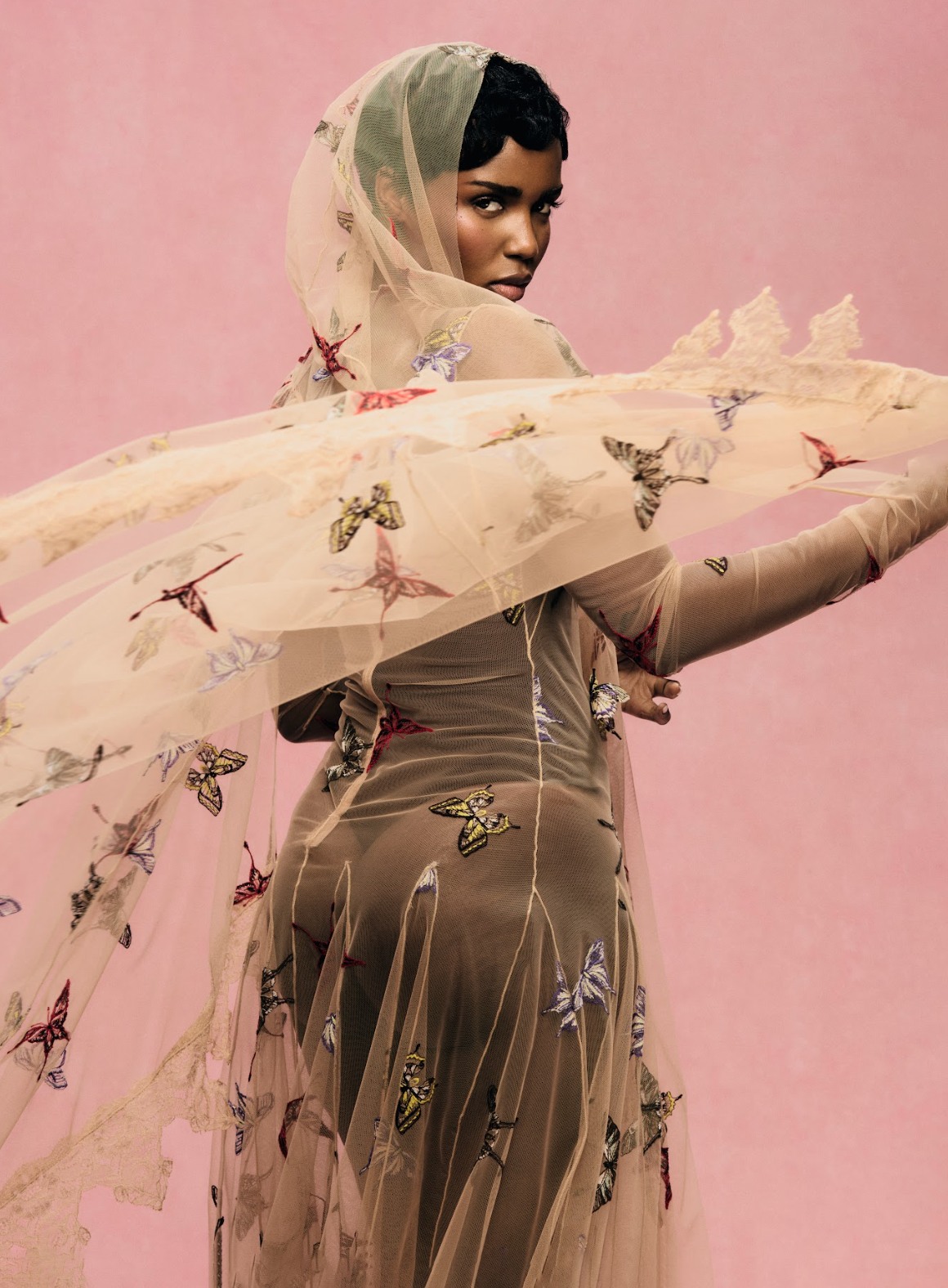 eva apio in butterfly sheer dress