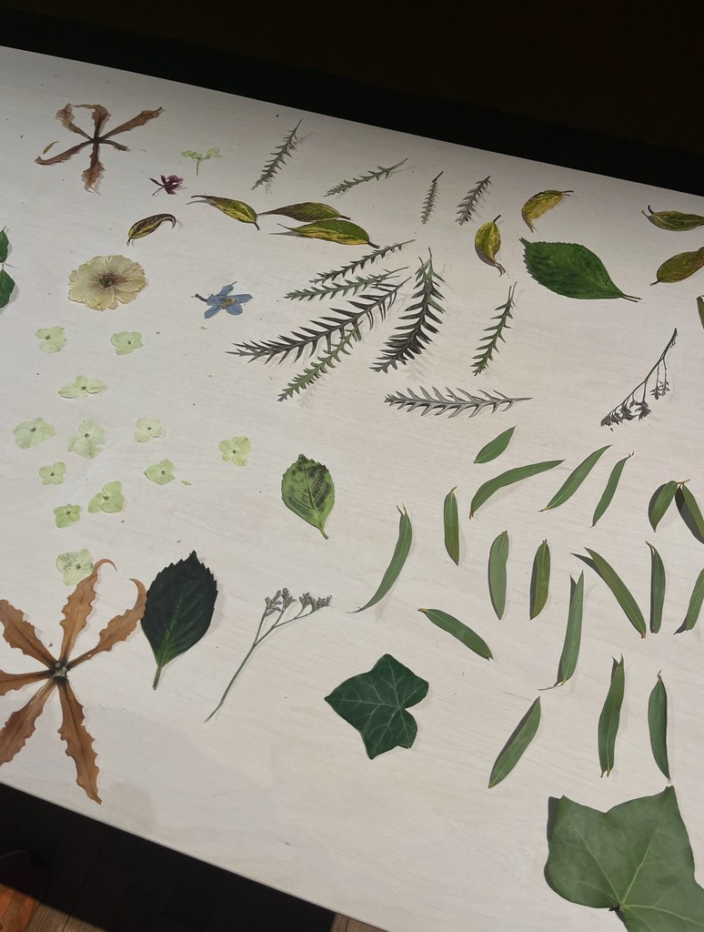 Leafs scattered on a table