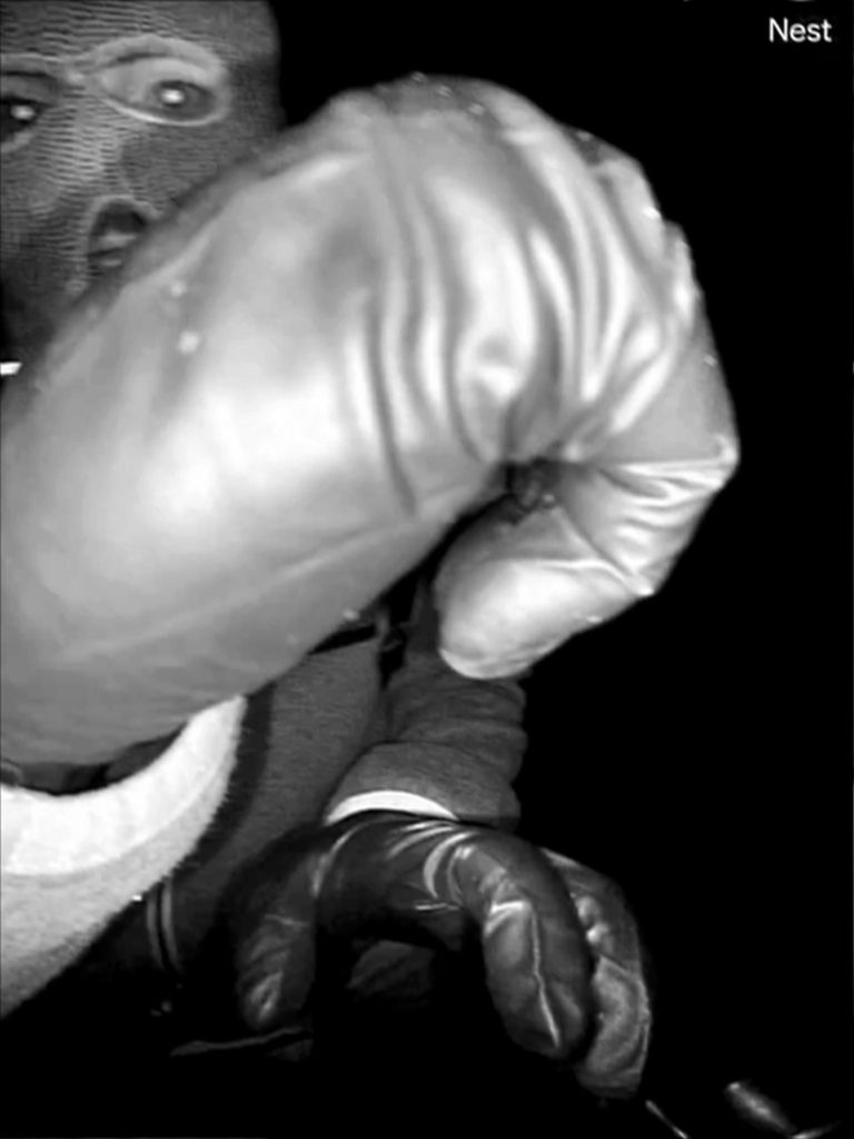 Suspect in Nancy Guthrie's disappearance