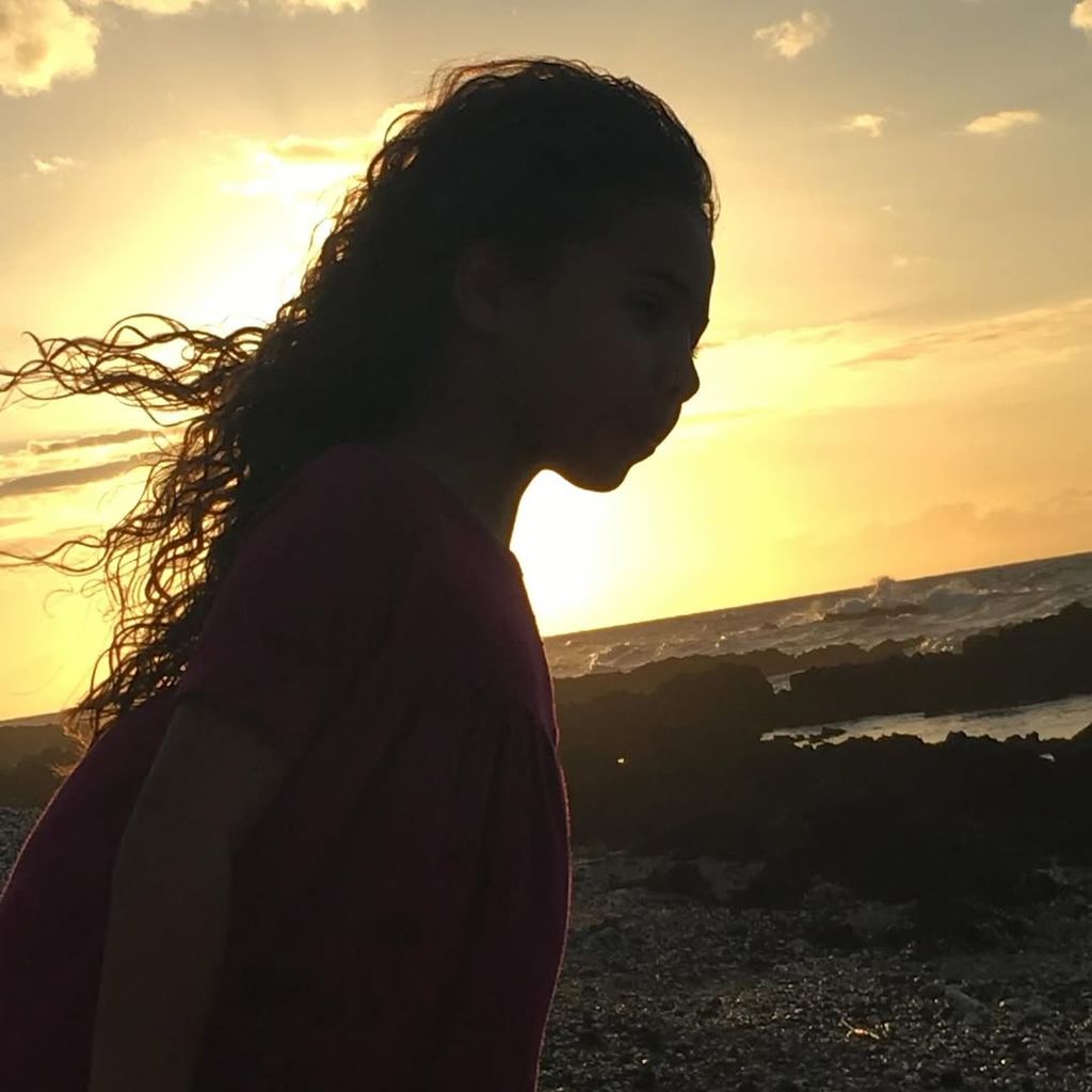 vin diesel daughter hania