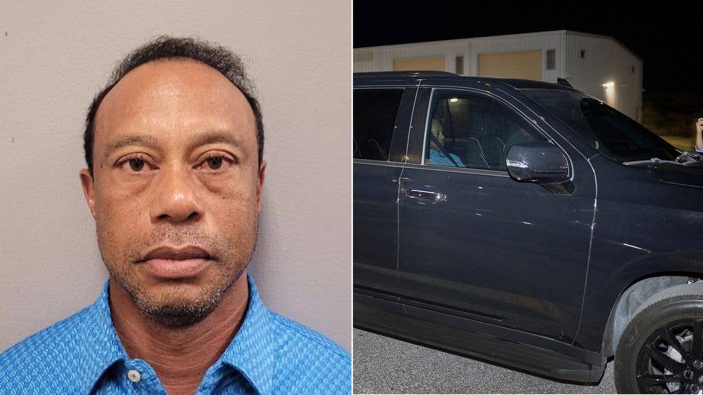 split photo of tiger woods mugshot and him sitting in a car