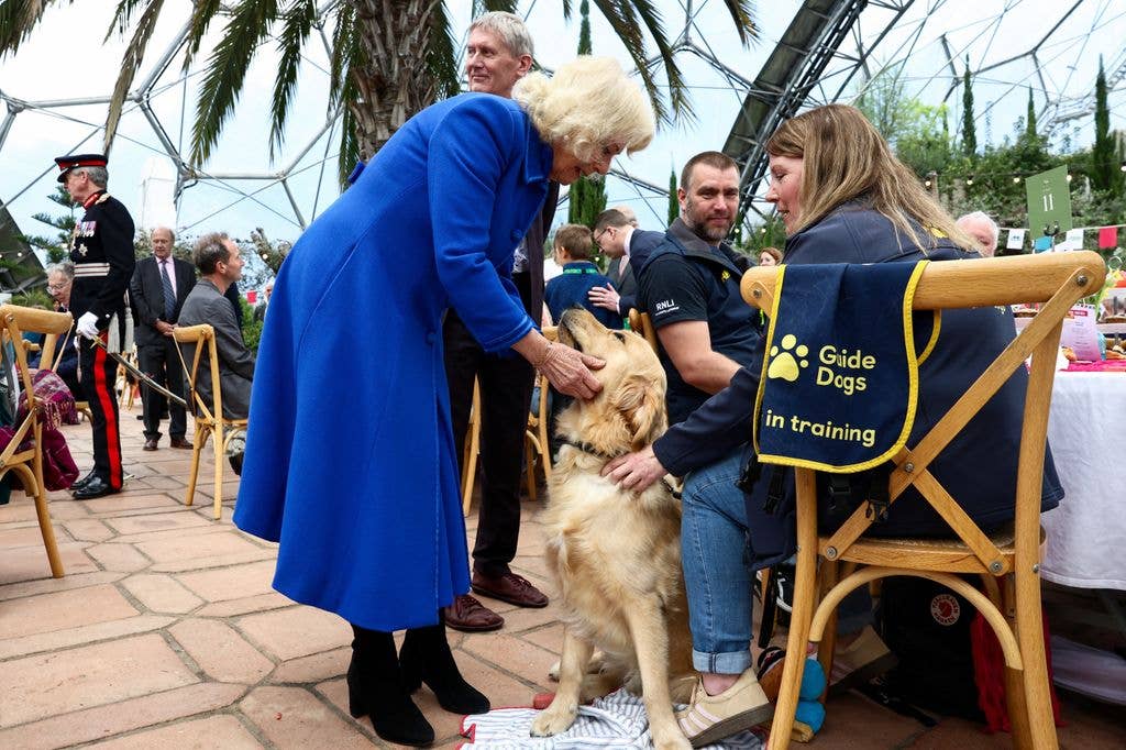 Queen Camilla pets a dog at the Eden Project