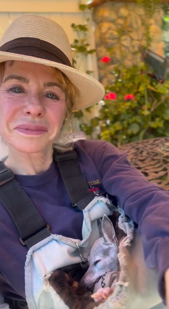 jenilee harrison animals