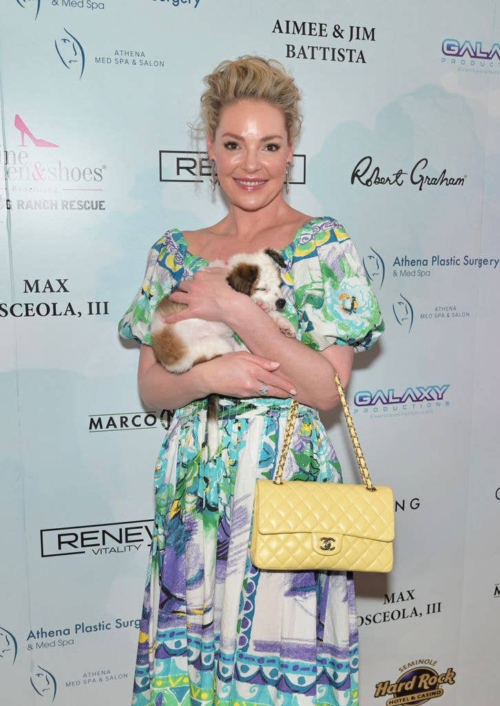 katherine heigl cuddling dog