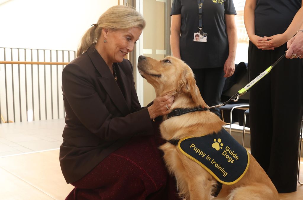 The Duchess of Edinburgh meets representatives from Guide Dogs, and puppy in training Luna