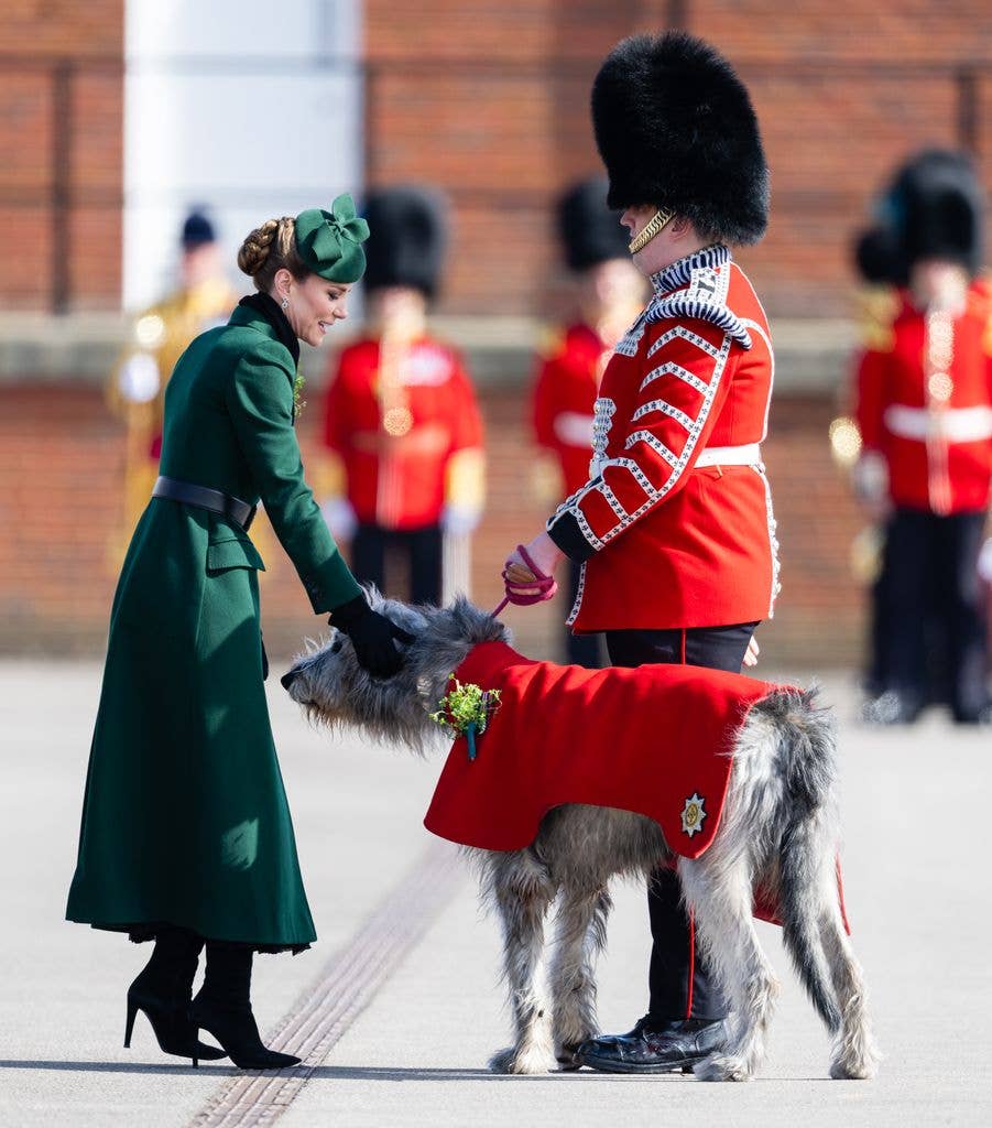Catherine, Princess of Wales meets Turlough, the Irish Wolf Hound regimental mascot
