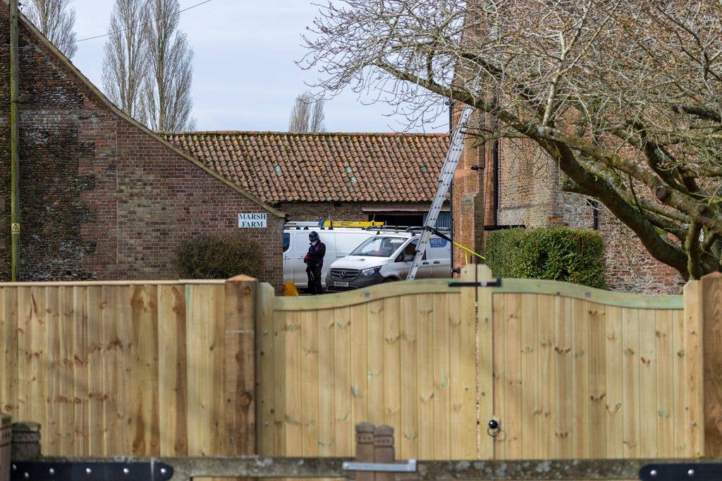 Workmen were pictured with ladders and vans as they carried out changes on the home