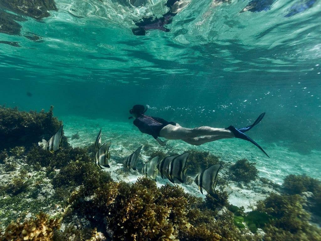 woman diving underwater with fish in Seychelles
