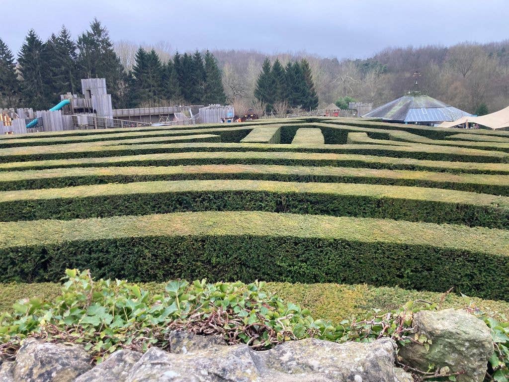 A maze from the centre and trees in the background