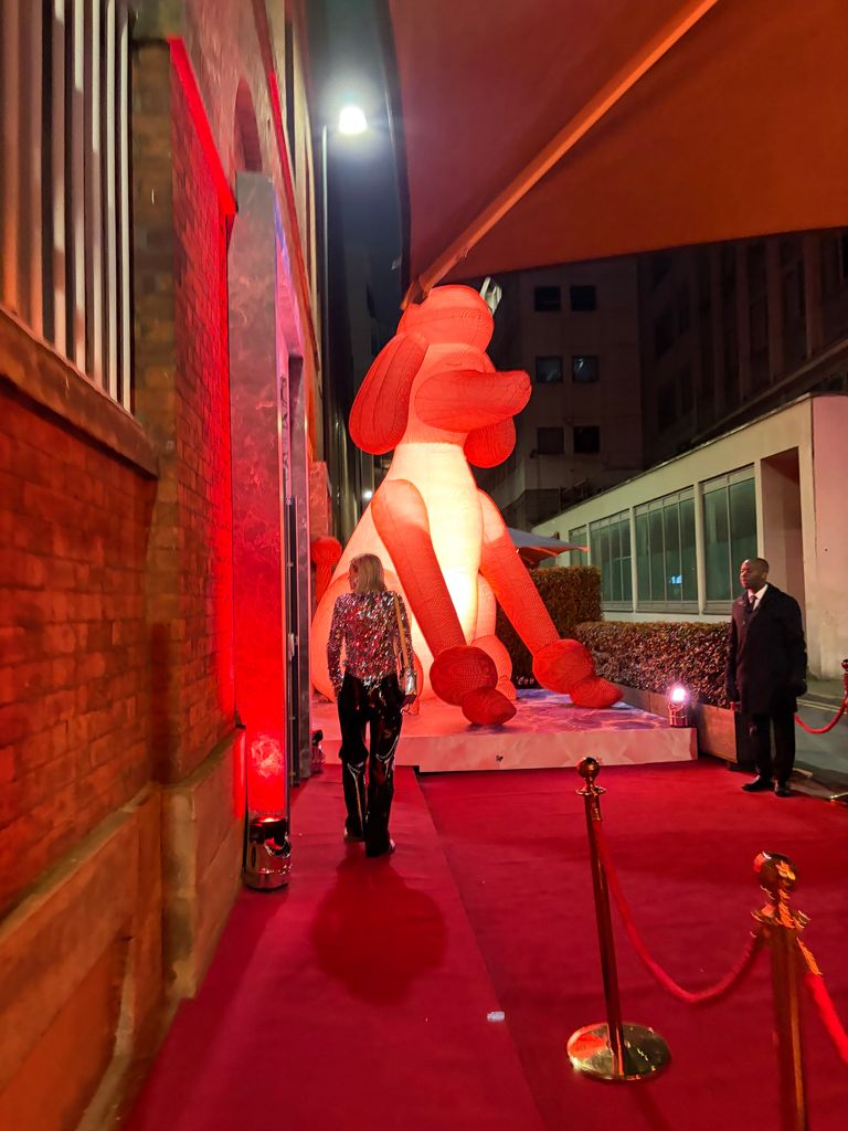 The party's theme was poodles and the carpet was pink