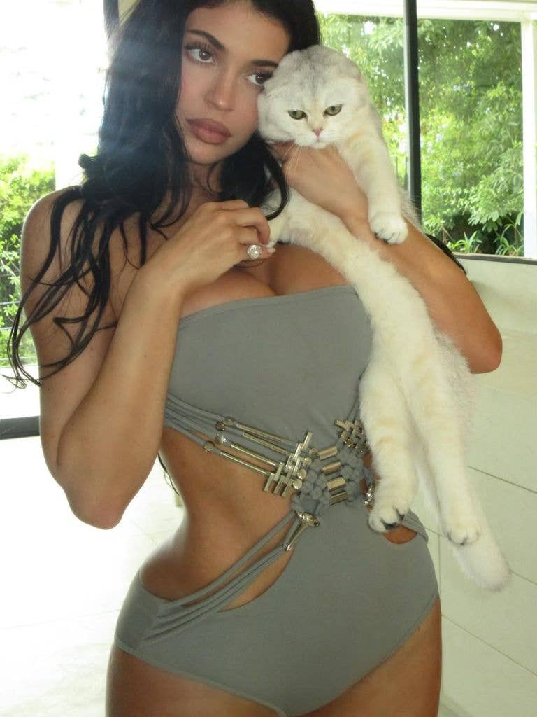 kylie jenner cat swimsuit