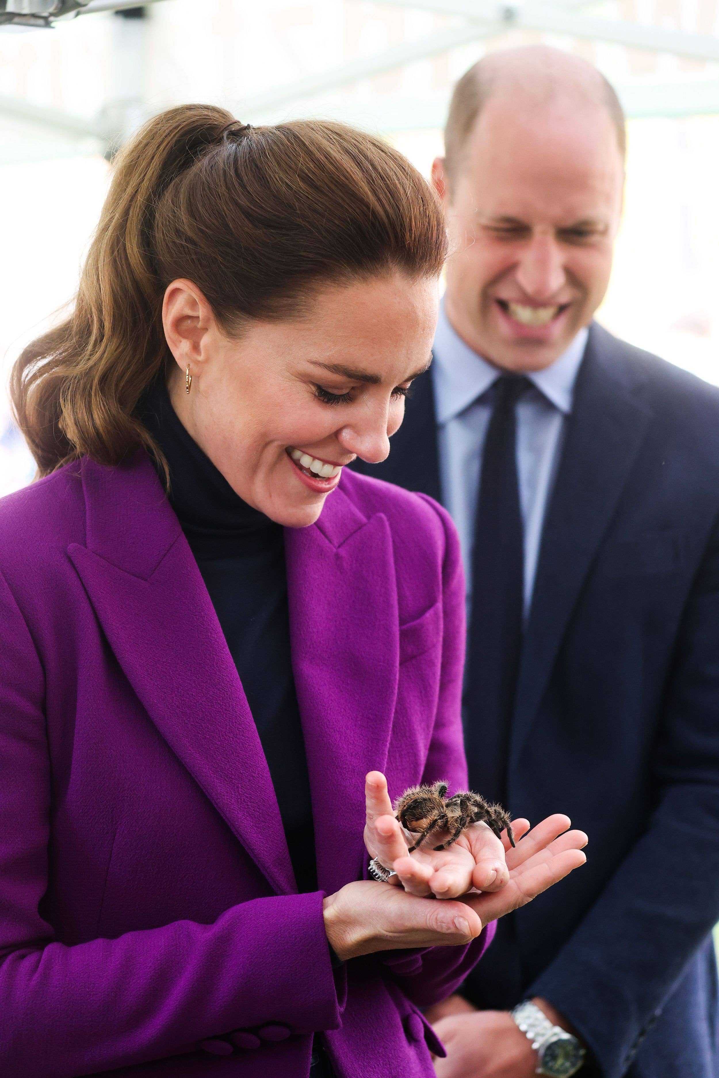 princess kate handling a tarantula