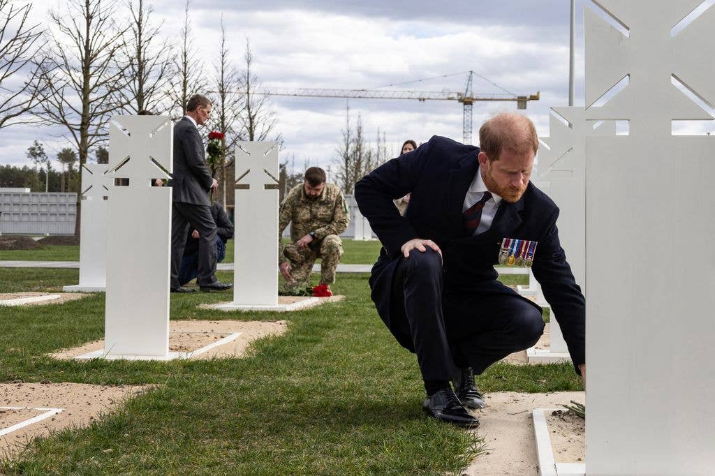 Harry left red roses on a grave
