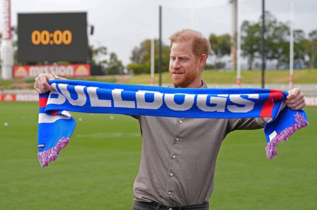 prince harry bulldogs scarf