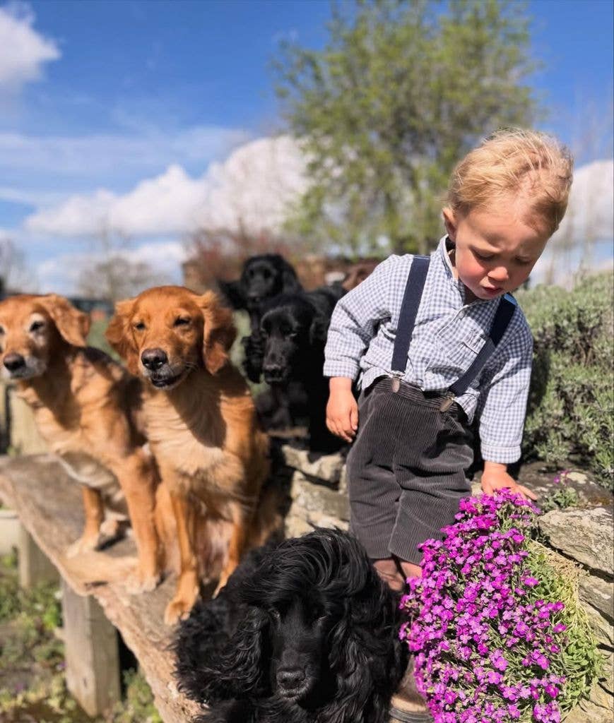 James Middleton's son, Inigo, surrounded by dogs