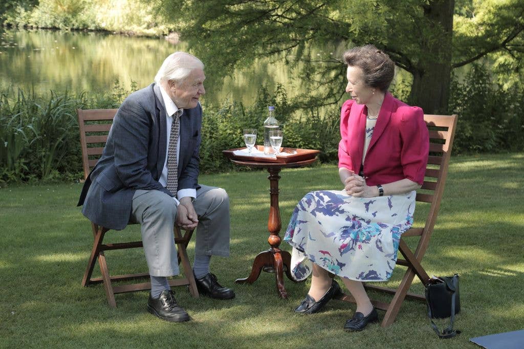 Sir David and Princess Anne first met in the 1950s