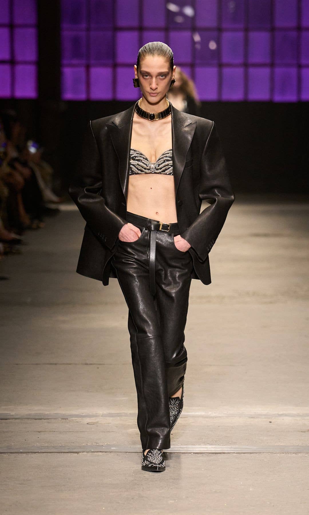 Roberto Cavalli AW26