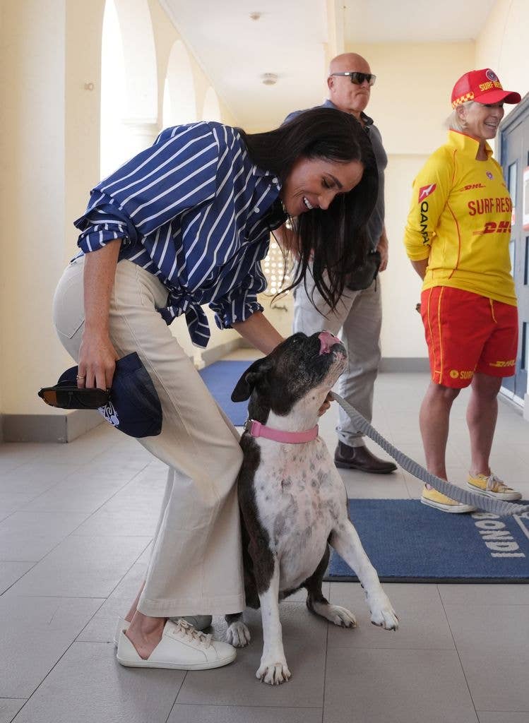 meghan markle dog bondi