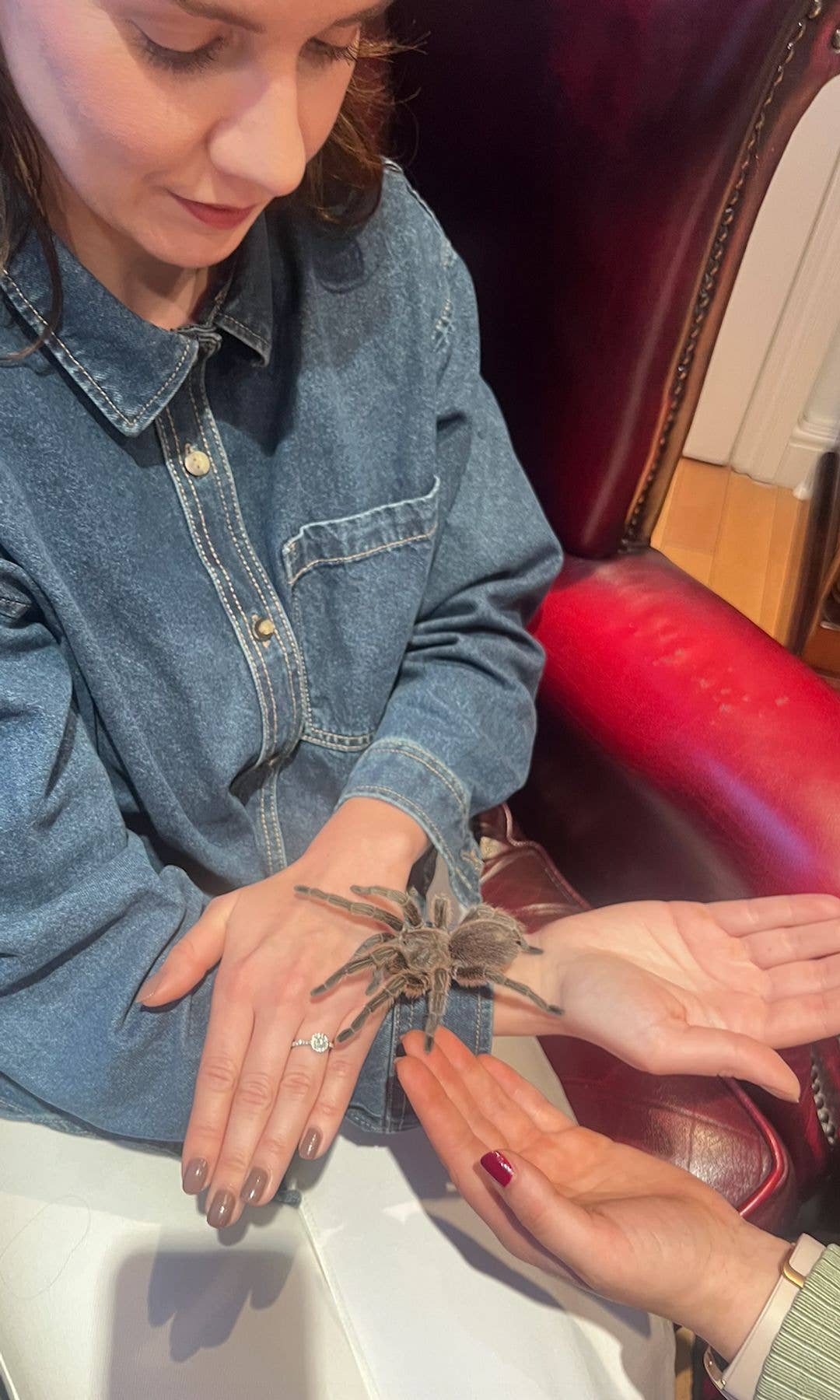 I'm so proud that I faced my fear